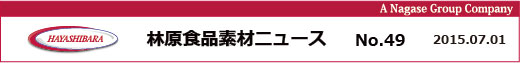 ьHifރj[X No.49