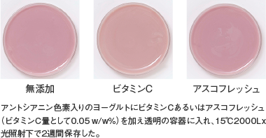 アスコフレッシュ_応用例_アントシアニン色素入りヨーグルト（15℃、2000Lx、2週間）