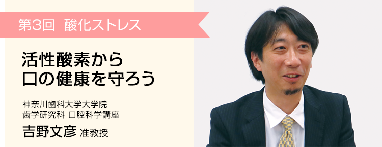 第3回 酸化ストレス 活性酸素から口の健康を守ろう 神奈川歯科大学大学院 歯学研究科 口腔科学講座 吉野文彦 准教授