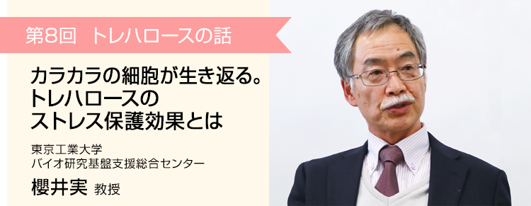 第8回　カラカラの細胞が生き返る。トレハロースのストレス保護効果とは 東京工業大学 バイオ研究基盤支援総合センター 櫻井実 教授