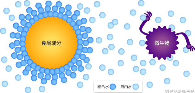 浸透圧と防腐性