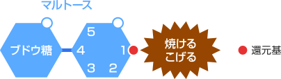 代表的な二糖類のメイラード反応