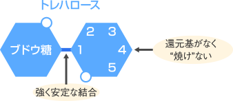代表的な二糖類のメイラード反応